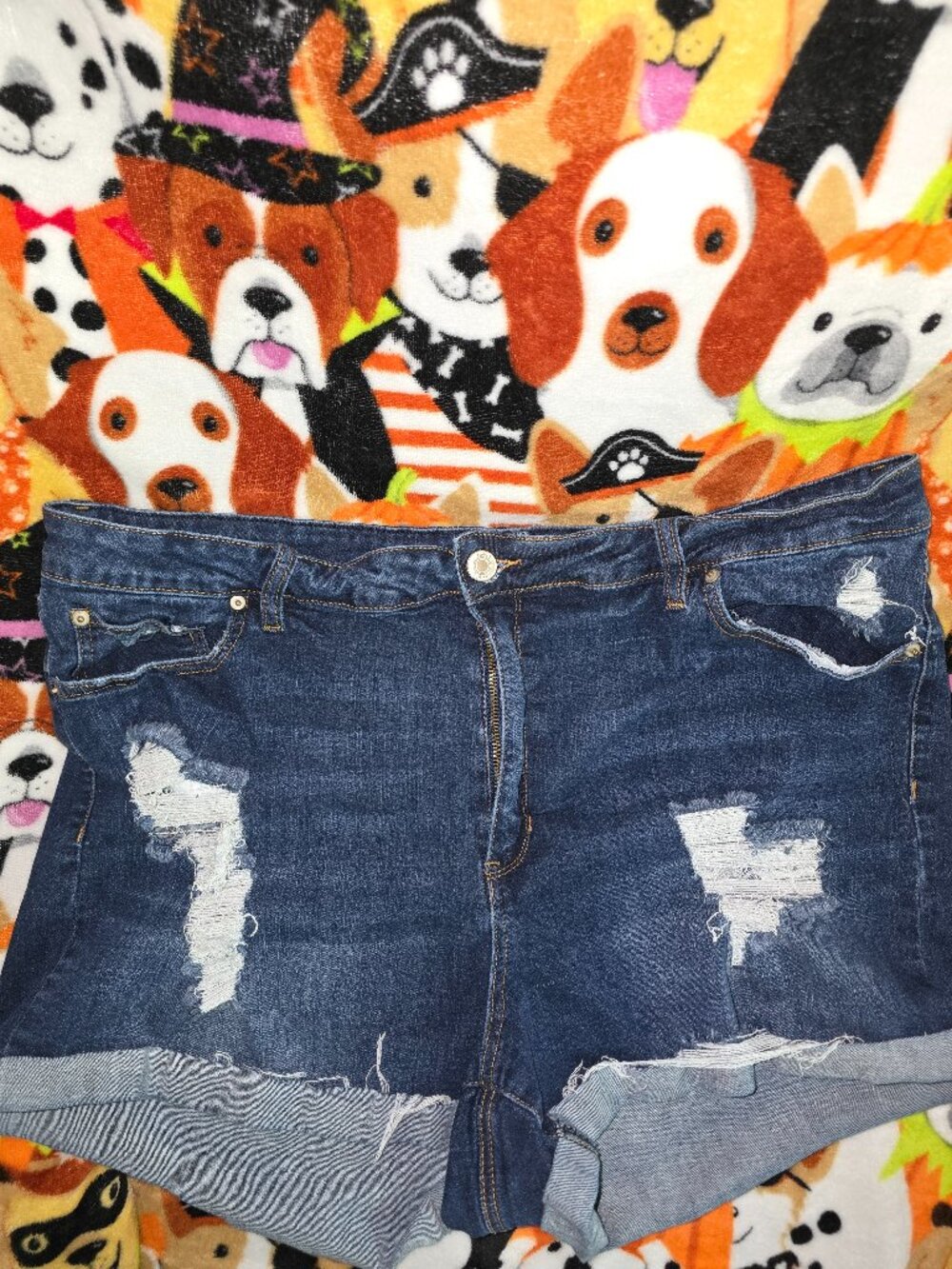 Rue21 Destructed Jean Shorts size 24